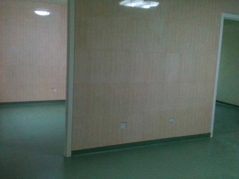 北京高新整形醫(yī)院地板膠 北京高新整形醫(yī)院地板膠