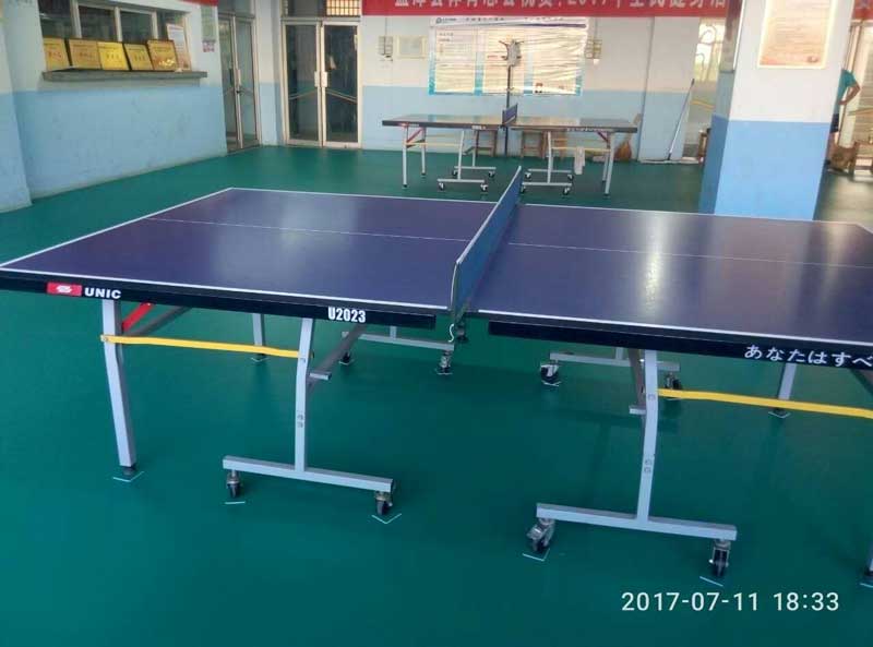 河南洛陽市孟津縣體育總局乒乓球運(yùn)動地膠